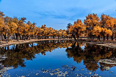 《瘟疫传说：安魂曲》发售日泄露 首发登陆XGP